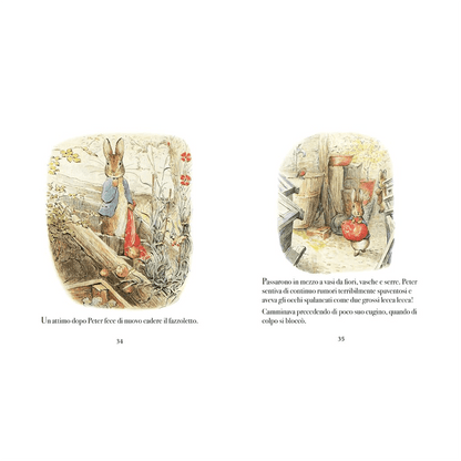 Beatrix Potter - Le Piu Belle Storie Di Peter Coniglio E I Suoi Amici. Ediz. Illustrata
