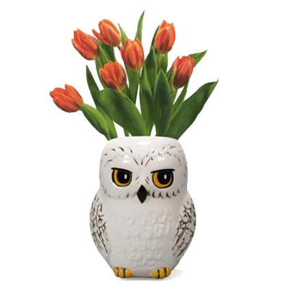 Harry Potter: Edvige - Vaso